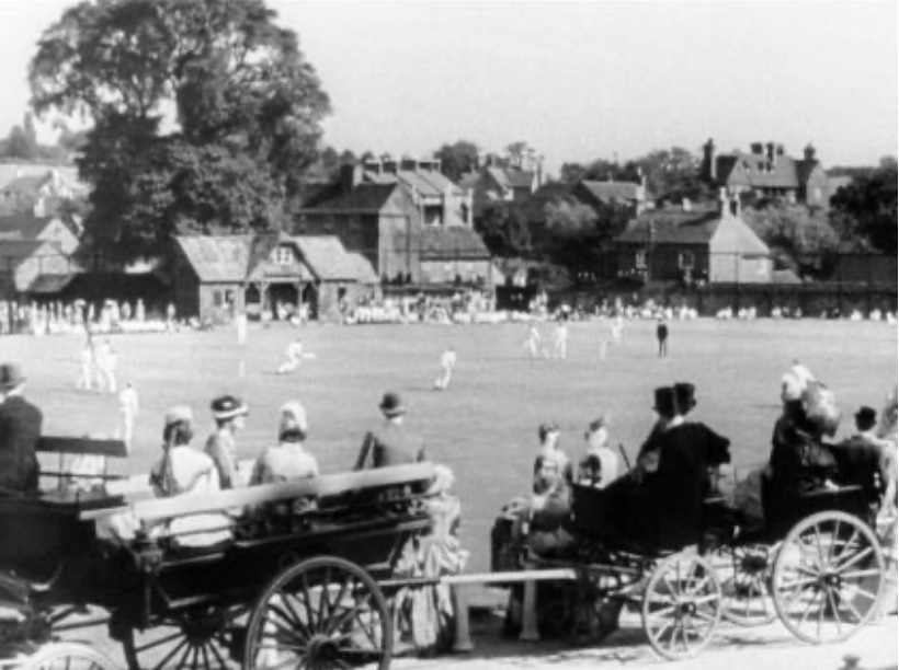 Goodbye Mr Chips Cricket